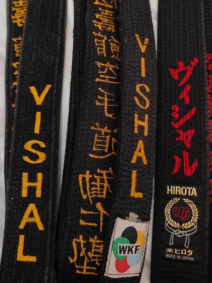 The Path of Progression: Belt Examinations photo 4