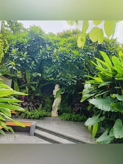 A sculpture is nestled amongst dense tropical foliage, creating a focal point in this garden corner. We often integrate art into our landscapes to add a personal and contemplative dimension.