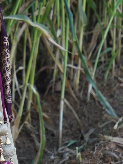 Liblikas - Wedding & Event Wear Rental Elegant Langa Voni (Half Sarees) photo 6