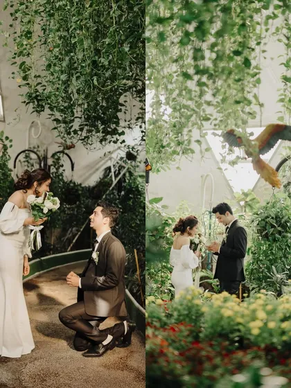 The proposal moment during Charlene and Dexter's elopement session. This diptych captures him on one knee and the subsequent ring exchange, surrounded by the lush greenery of the garden.