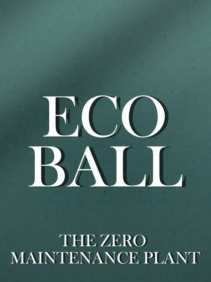 The EcoBall: The Zero Maintenance Plant. This graphic clearly communicates the core benefit of our unique and innovative product.
