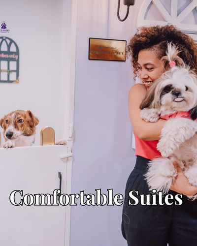 Pet Boarding & Hotel