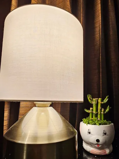 Here’s an example of how a small plant can style a space. This mini Lucky Bamboo plant in a cute animal-themed pot is perfect for a bedside table or a small office desk.