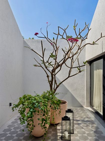 A detail of a courtyard in the Mango Orchard House, where a Frangipani tree becomes a living sculpture. The patterned cement tiles and simple lanterns add to the tranquil atmosphere.