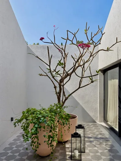 This intimate open-to-sky courtyard is one of five in the Mango Orchard House. These spaces are crucial for allowing natural light and ventilation to permeate the home, enhancing the quality of life for its inhabitants.