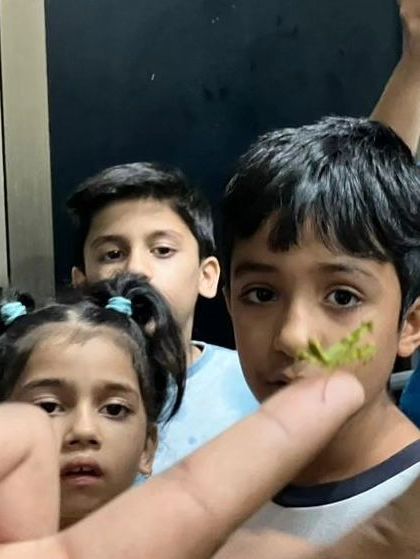 The Earth School - Montessori Primary & Elementary Program The World is Our Classroom photo 19