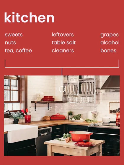 To help with poison-proofing your home, here is a checklist for the kitchen. Common items like sweets, leftovers, and certain cleaners can be very dangerous if ingested by your pet.