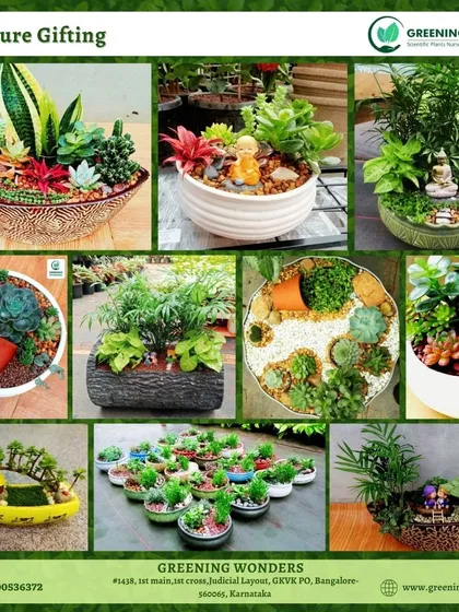 A look at our diverse range of miniature gardens. Each arrangement is a unique piece of art, combining different succulents, plants, and decorative elements to create a tiny, thriving landscape for any desk or home.