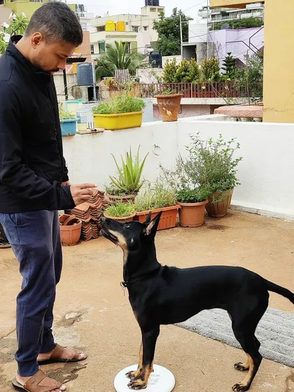 You can tell a man is good if he has a dog who loves him. This is KayKay, fully focused and happy to be training with his dad on their terrace. It's all about that bond!