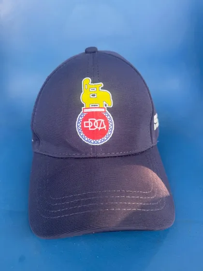 The official DDCA cap. Proud to represent Delhi cricket.