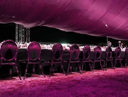 A row of modern, pink-toned chairs under a draped canopy, showcasing a different color filter on our elegant dinner setup.