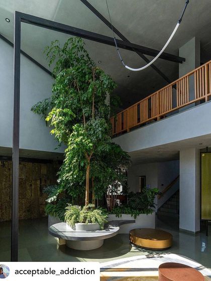 An indoor courtyard centered around a tall Carmona tree, with a built-in circular bench. The design brings a significant piece of nature into the very core of the home, creating a living, breathing centerpiece.