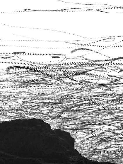 Using a technique called ornithography, we traced the flight patterns of hundreds of black kites over the Bandhwari landfill. This artistic image tells a somber story about how wildlife adapts to our changing urban landscape.