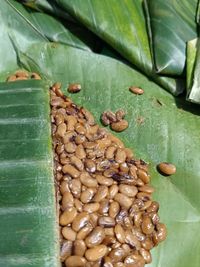 Authentic Northeast Pantry Staples & Snacks