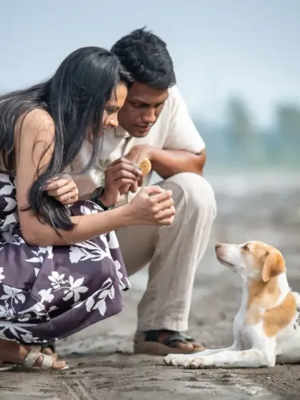 Sometimes the most unexpected moments are the best. This couple shared a sweet interaction with a stray dog during their beach pre-wedding shoot, and it made for a truly heartwarming photo.