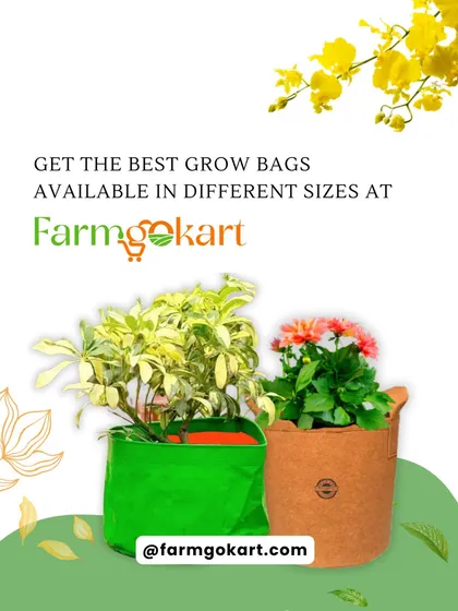 I have grow bags available in many different sizes to suit whatever you're planting. Whether you need a compact bag for herbs or a larger one for vegetables, you can find the perfect fit for your garden.