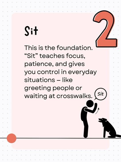 The 'Sit' command is the foundation of focus and patience. As this graphic explains, it's a versatile tool for managing everyday situations, like calmly greeting people or waiting at a crosswalk.