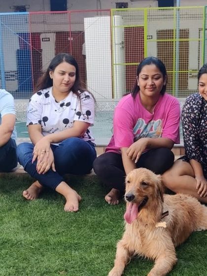 A group of friends relaxing on the grass with their happy golden retriever after a swim. Our facility has plenty of space to chill out.