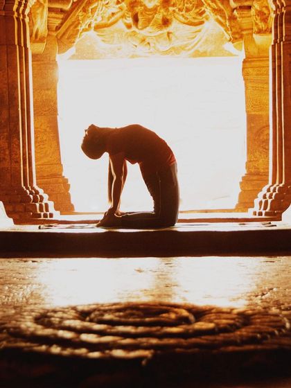 Tejaswini S - Online Group Yoga Classes The Art of Asana: Posture Breakdowns photo 4