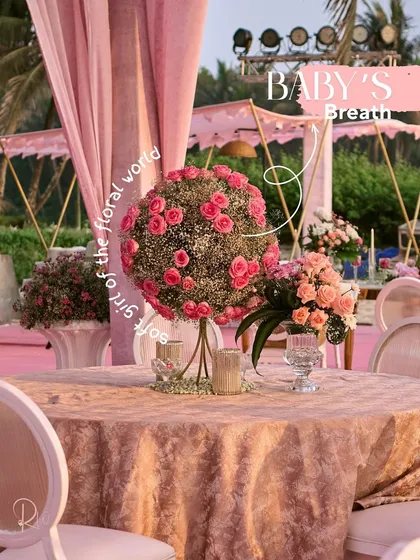 This image showcases the "soft gift of the floral world," baby's breath, used in a spherical centerpiece with pink roses.