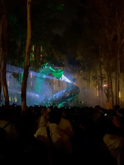 The view from the crowd at Echoes of Earth. The stage production, the forest setting, and the music all come together to create a magical, hypnotic experience.