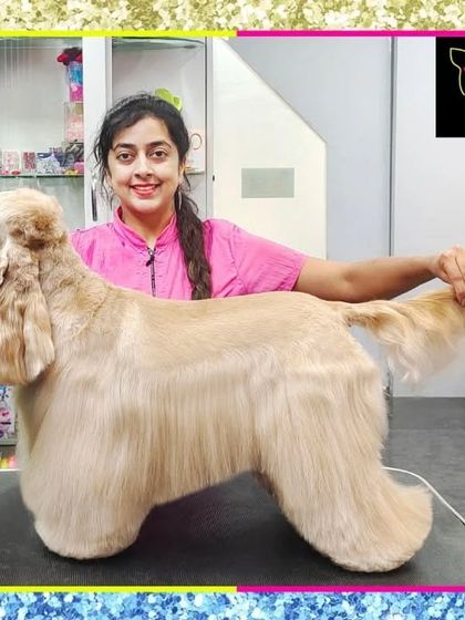 Fuzzy Wuzzy - Pet Grooming & Spa Spaniels, Retrievers & Large Breed Grooming photo 57