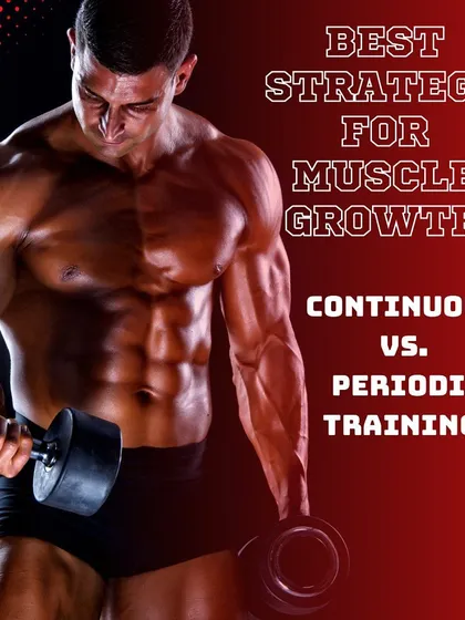 Is continuous training or periodic training better for muscle growth? This study summary shows that incorporating periods of detraining and retraining can lead to similar, and sometimes even greater, muscle hypertrophy compared to training continuously.