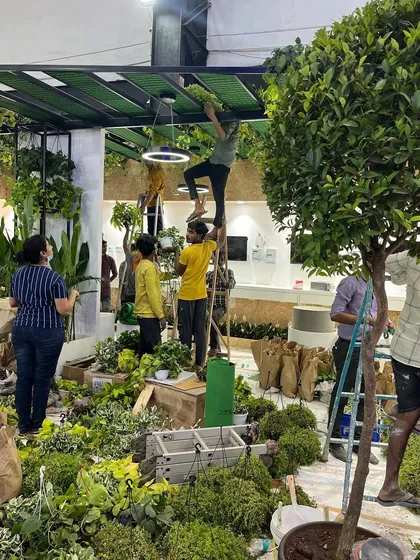 Getting every plant perfectly positioned is key. Our installation team uses ladders and careful coordination to arrange greenery at all levels, from the floor to the ceiling.