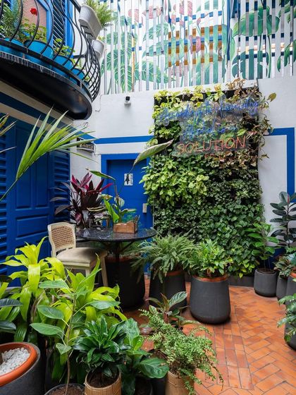 In our Greek-inspired courtyard, a vertical garden adds a lush, living element to the crisp white and blue walls. The space is filled with a variety of potted plants, creating a true urban oasis.