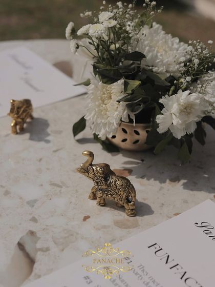 Elegant Daytime Celebrations photo 31