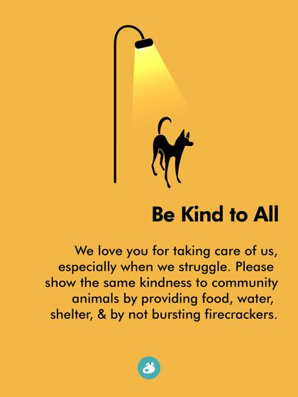 The Pack - Online Pet Parent Community Additional Resources & Updates photo 20