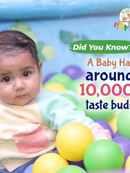 Did you know a baby has around 10,000 taste buds? We love sharing wonderful facts about your little monkeys while they play and explore.