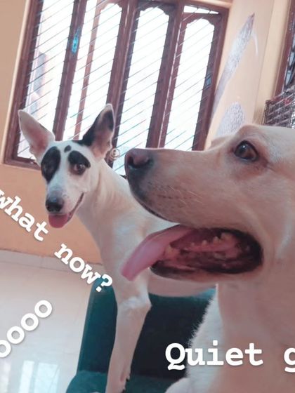 Everyone in their own world. A quiet moment with a lot of different personalities.