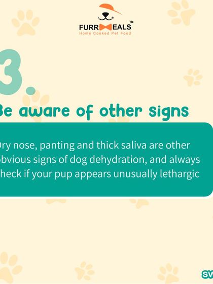 Hydration is important all year round. This guide shows you three simple ways to check if your dog is dehydrated, including the skin elasticity test and checking their gums, and reminds you that bone broth is a great way to boost fluid intake.