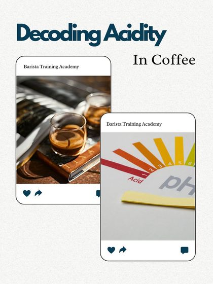 Understanding acidity is not about pH, but about flavor. Our training helps you decode the bright, vibrant notes that make specialty coffee so exciting.