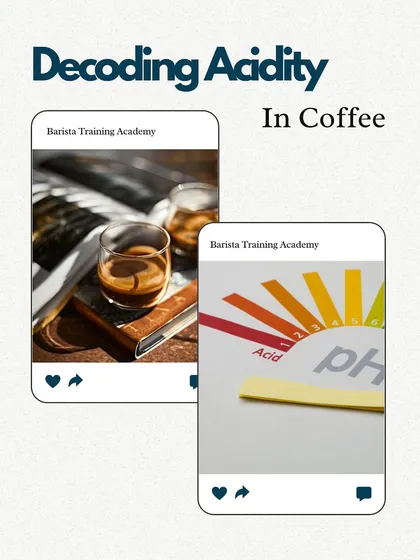 An introduction to decoding acidity in coffee. We explain the different types of acids, like malic and citric, that shape a coffee's vibrance.