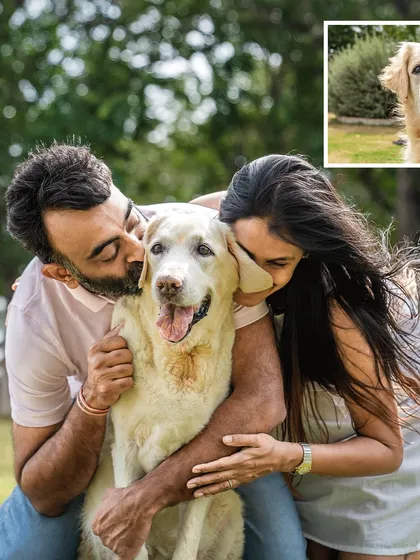A collage featuring a heartwarming portrait of a couple kissing their senior dog, Ice, who is beaming with happiness. A beautiful memory of love and affection.