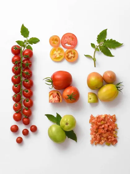 This composition showcases the diversity within the tomato family. The precise arrangement and even lighting create a visually appealing and informative image for any food related project.