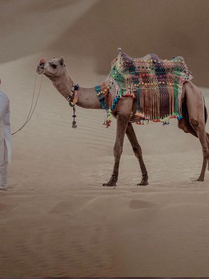 A groom-to-be in traditional attire leads a decorated camel through the desert sands. This shot captures the authentic and cultural feel of a destination shoot in Rajasthan.