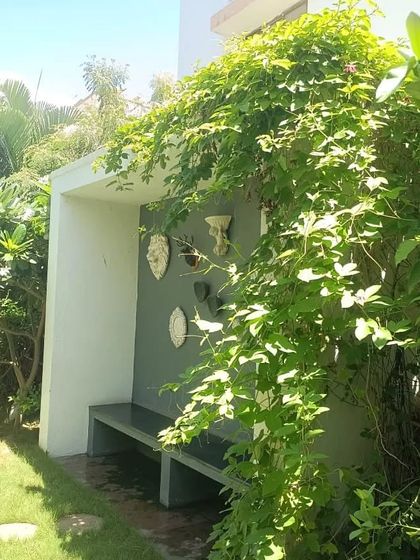 Plants, Planters & Green Accents photo 7