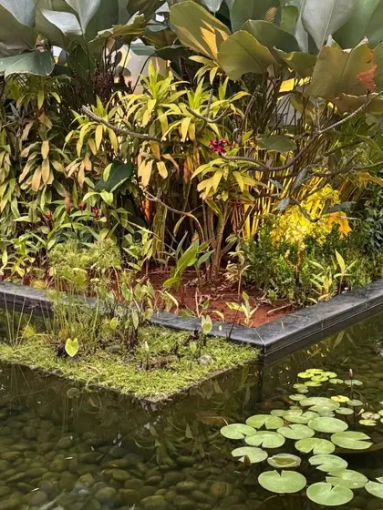 A floating island of aquatic plants and a collection of water lilies bring this tranquil water garden to life. The sound and sight of water are essential for a serene atmosphere.