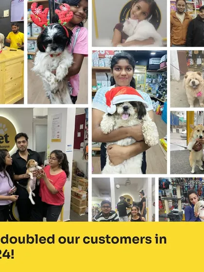 Our community is growing, and we couldn't be happier. This collage celebrates the many new faces, both furry and human, who joined the Pet Warehouse family this year. We're so grateful for your trust.