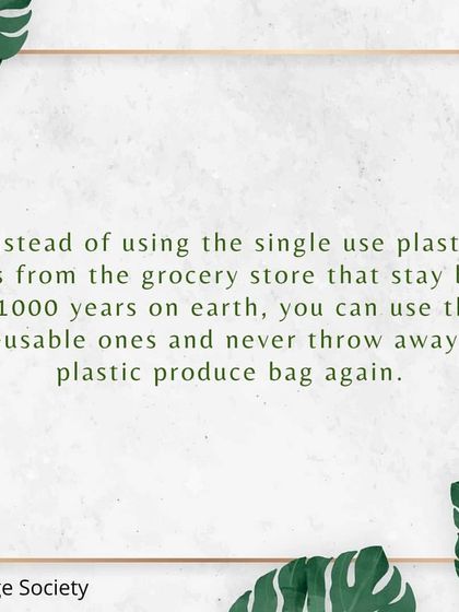 Simple Swaps for a Plastic-Free Home photo 3