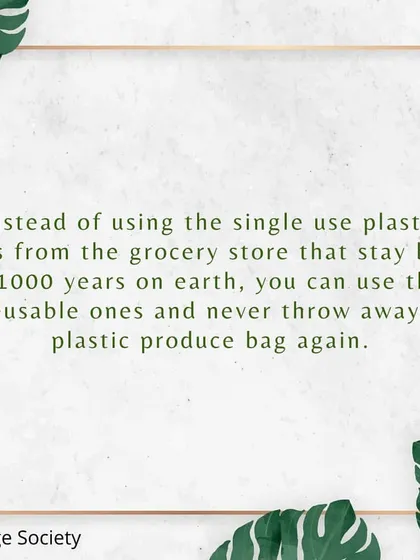 We explain the long-term impact of single-use plastic bags, which can persist in the environment for a thousand years. Our reusable bags offer a simple and effective way to break this cycle of waste.