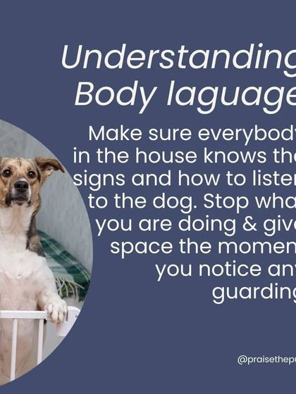 Make sure everyone in the house understands your dog's body language. The moment you notice any guarding behavior, stop what you are doing and give the dog space. This is crucial for safety and for building trust.