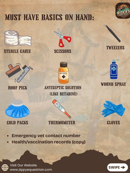 Our first aid kit contains all the must-have basics, from sterile gauze and antiseptic solution to a thermometer and cold packs. Having these items on hand is a critical part of our comprehensive horse care management.