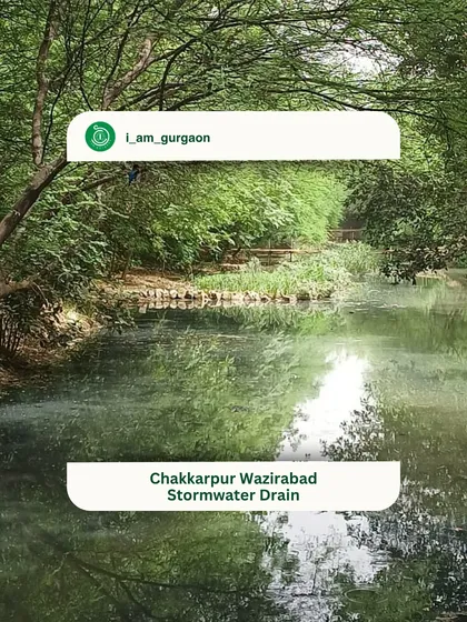 The 'after' shot of the Chakkarpur Wazirabad drain is a picture of serenity. Clean water now flows freely, reflecting the restored greenery on its banks, a complete reversal from its polluted past.