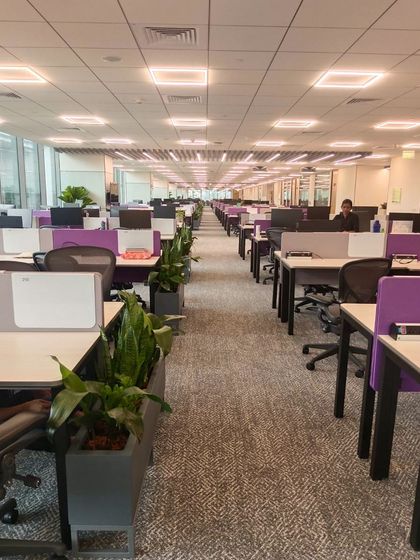 The open-plan workspace at VeArc, where planters are used to break up the long rows of desks. This adds visual interest and provides employees with a direct connection to nature.