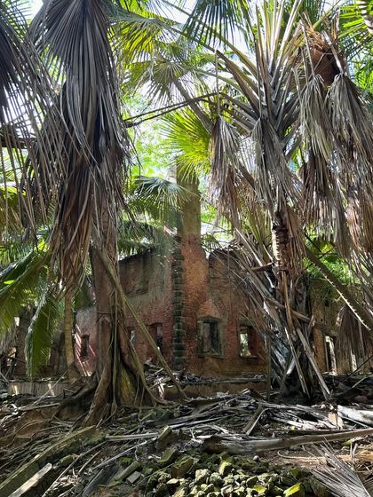 The roots of giant trees strangling the old British administrative buildings on Ross Island. A powerful reminder of nature's resilience.