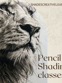 Drawing & Sketching Classes